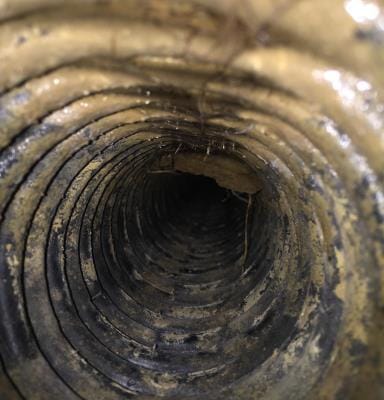 Inspection par caméra Rive-Sud Montréal